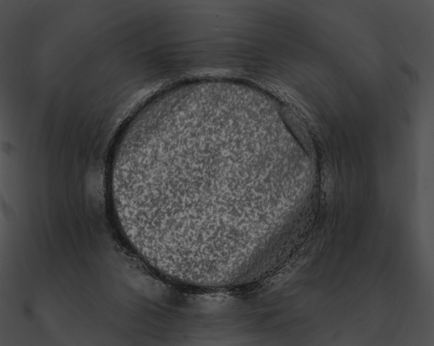 X0000090500112200708031217