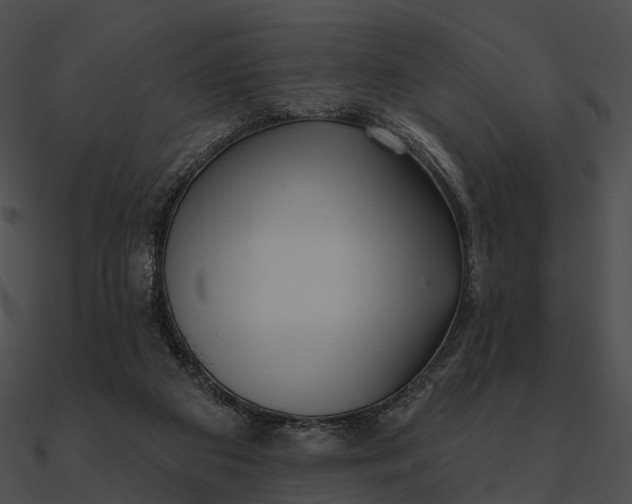 X0000090500113200708031217