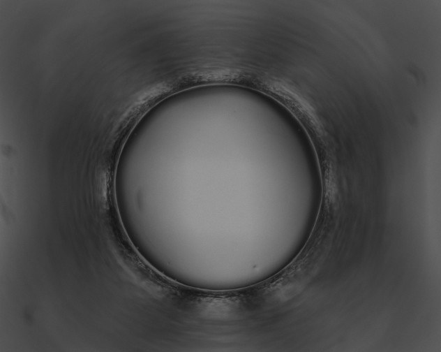 X0000090500115200708031217