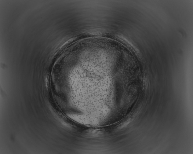 X0000090500117200708031217