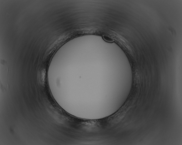 X0000090500118200708031217