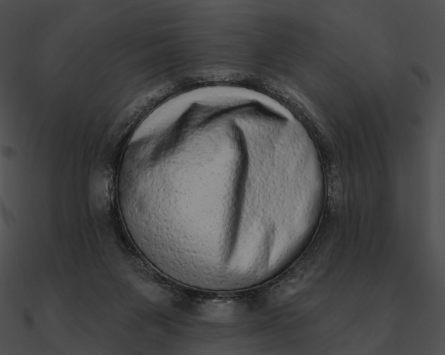 X0000090500119200708031217