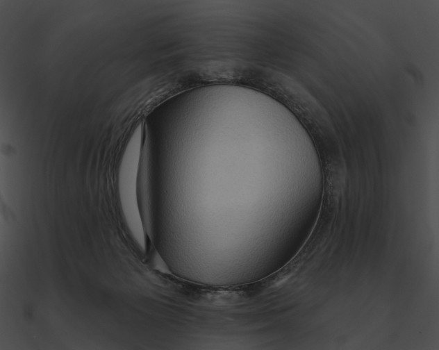 X0000090500125200708031217