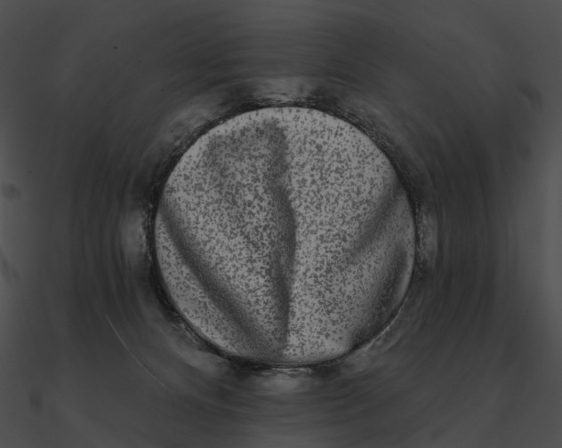 X0000090500128200708031217