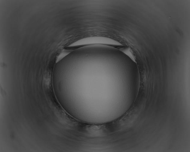 X0000090500129200708031217