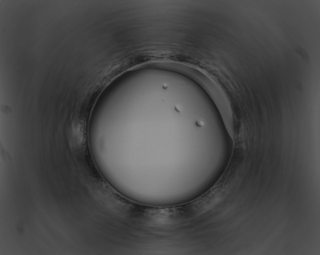 X0000090500131200708031217