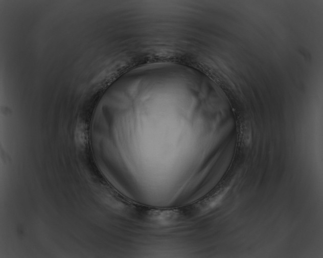 X0000090500135200708031217