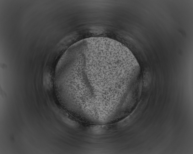 X0000090500136200708031217