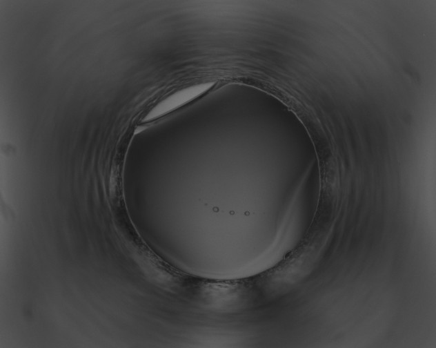 X0000090500139200708031217