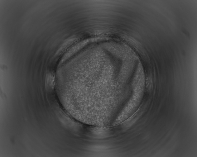 X0000090500142200708031217