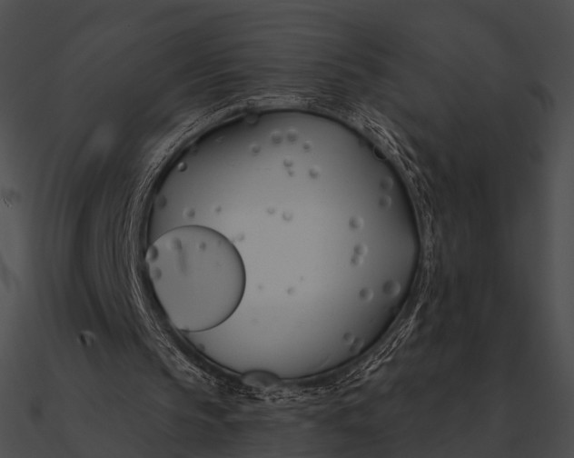 X0000090500145200708031216