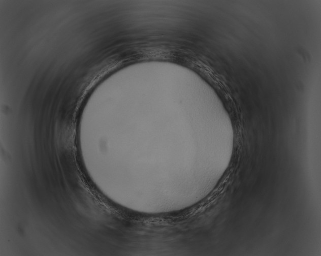 X0000090500146200708031216