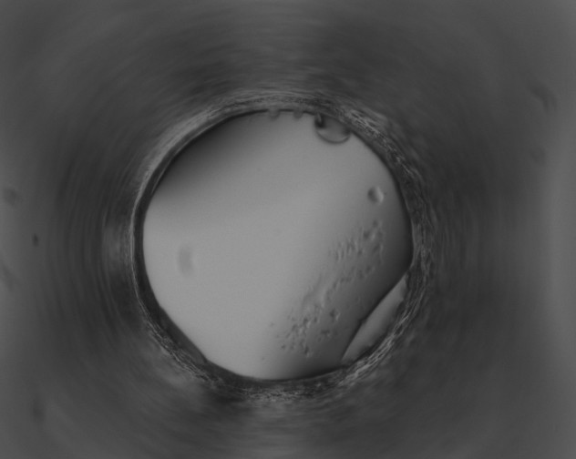 X0000090500148200708031216