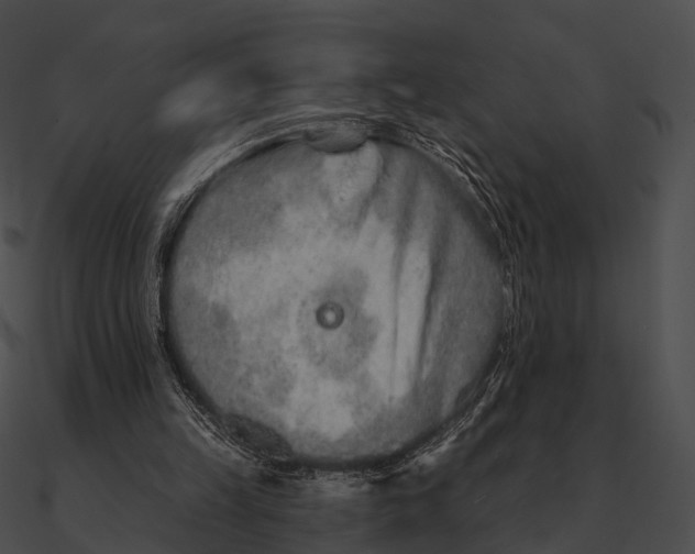 X0000090500149200708031216