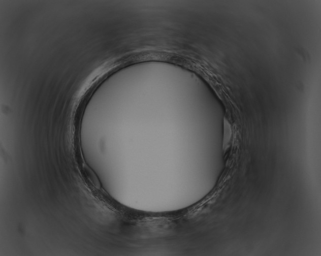 X0000090500150200708031216