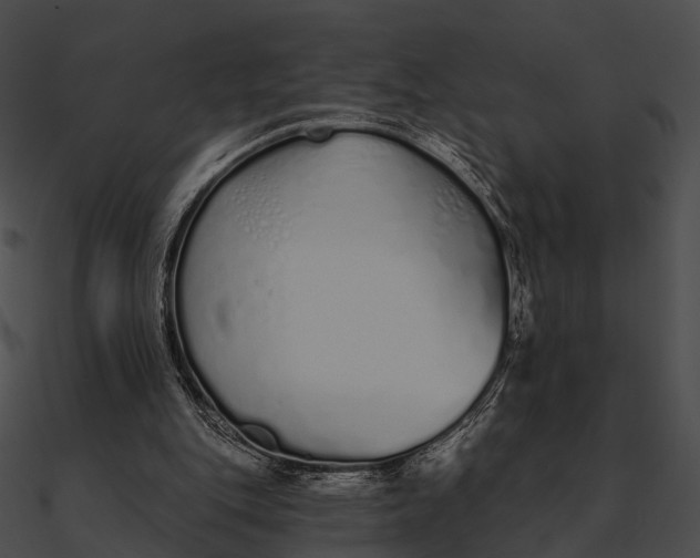 X0000090500151200708031216