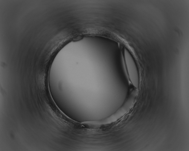 X0000090500154200708031216