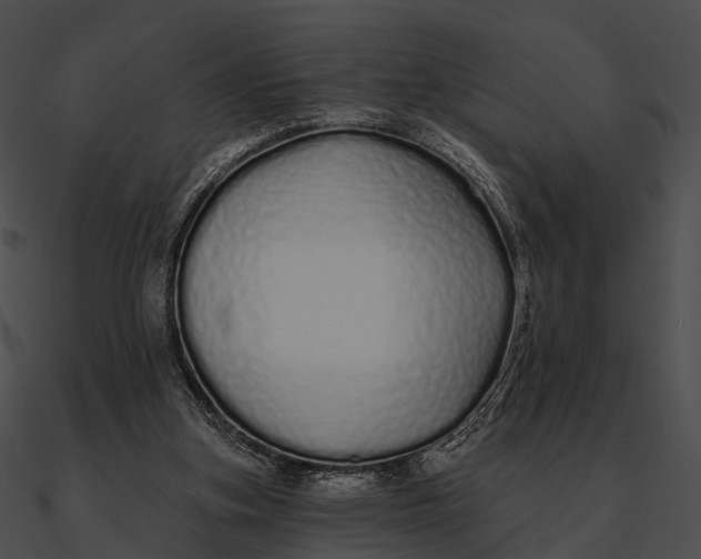 X0000090500155200708031217