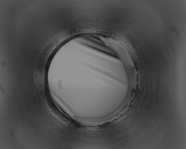 X0000090500156200708031217