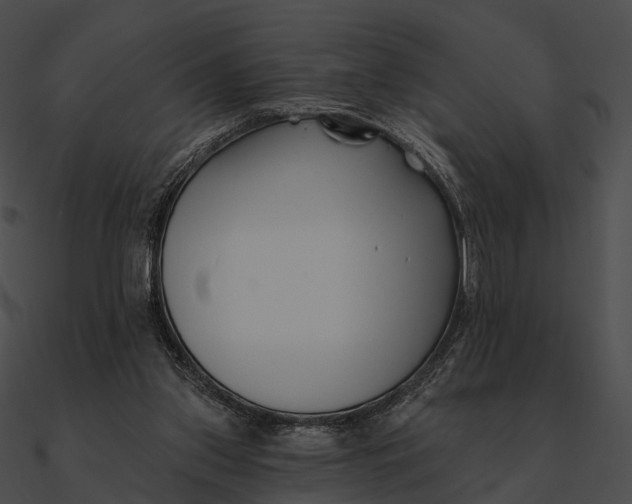 X0000090500157200708031217