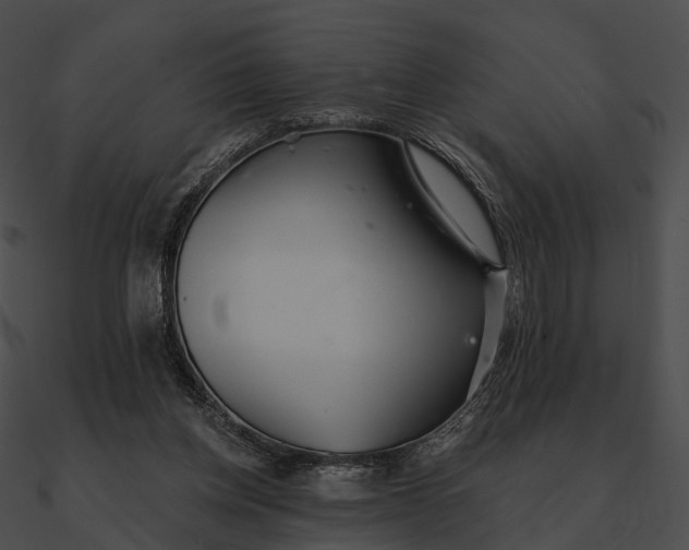 X0000090500158200708031217