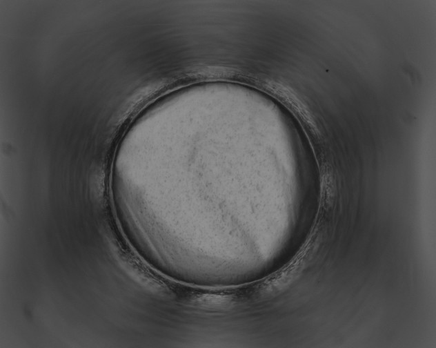 X0000090500159200708031217