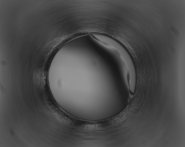 X0000090500160200708031217