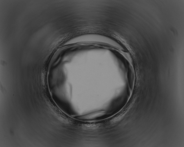 X0000090500161200708031217