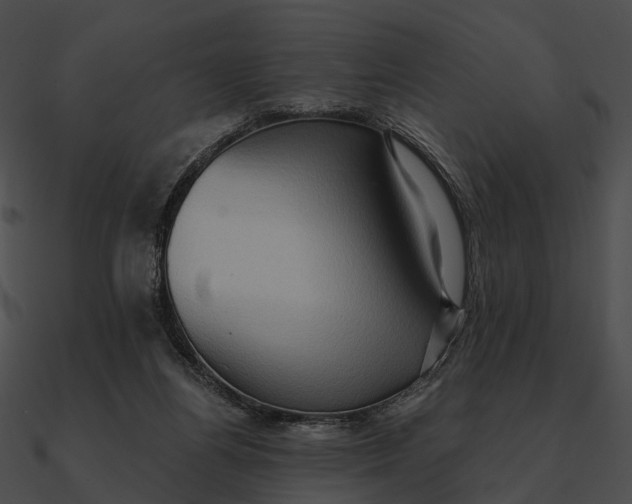 X0000090500164200708031217