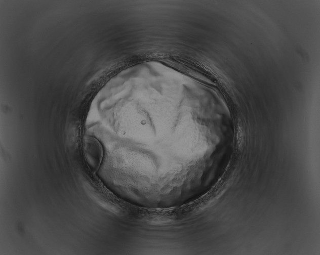 X0000090500165200708031217