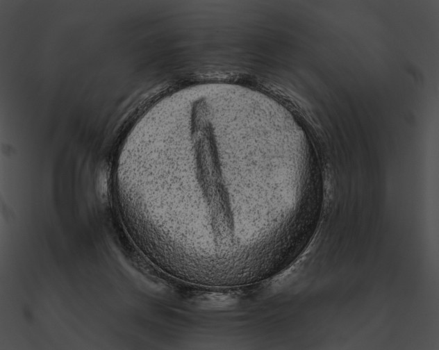 X0000090500166200708031217