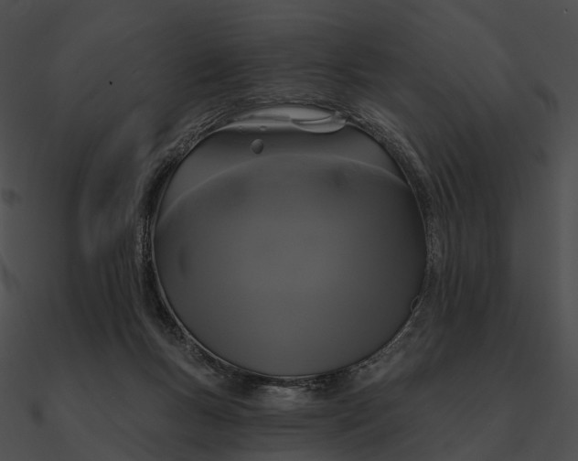 X0000090500167200708031217