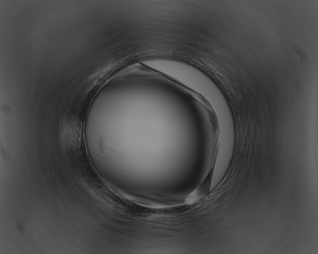 X0000090500168200708031217