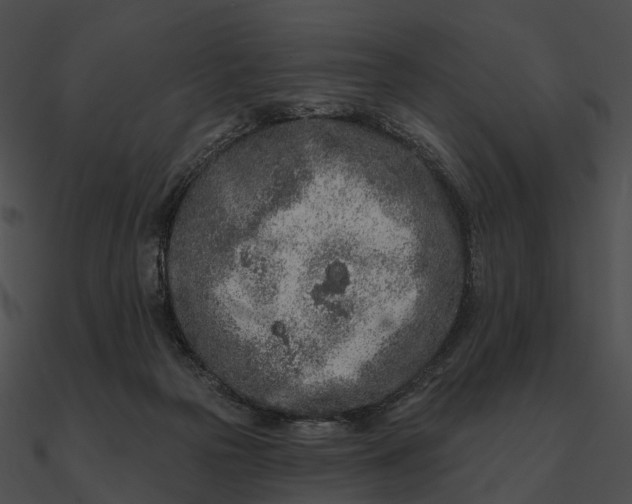 X0000090500169200708031217