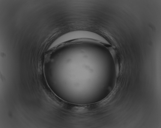 X0000090500170200708031217