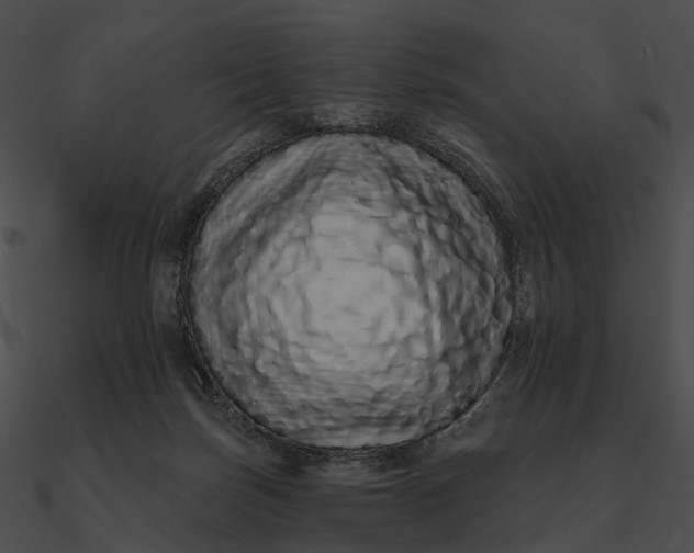 X0000090500171200708031217