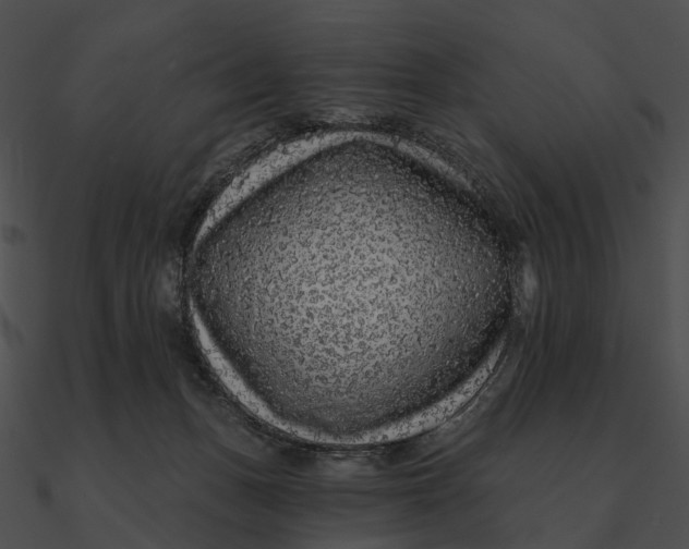 X0000090500175200708031217