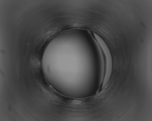 X0000090500176200708031217