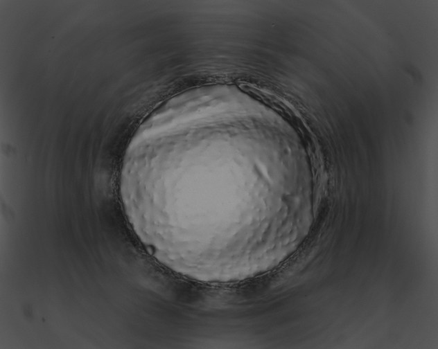 X0000090500177200708031217