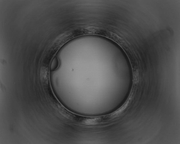 X0000090500178200708031217