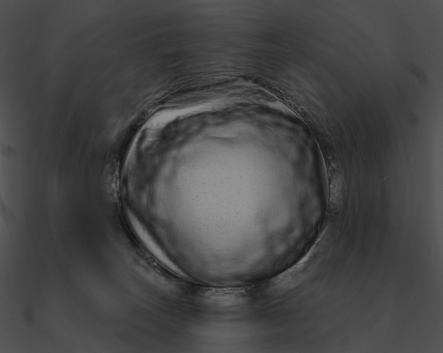 X0000090500179200708031217