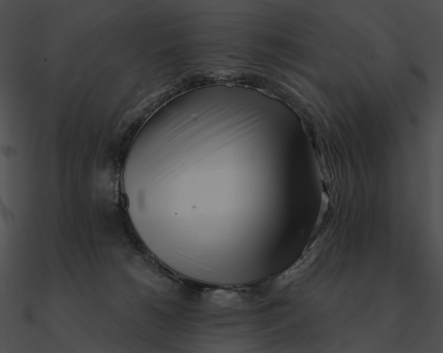 X0000090500180200708031217