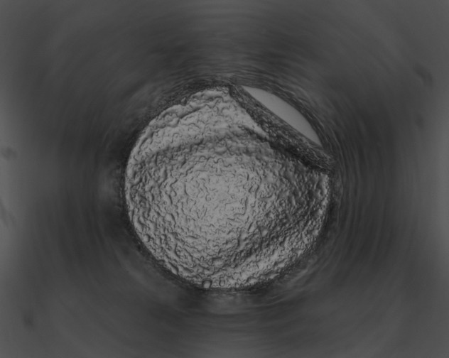 X0000090500181200708031217