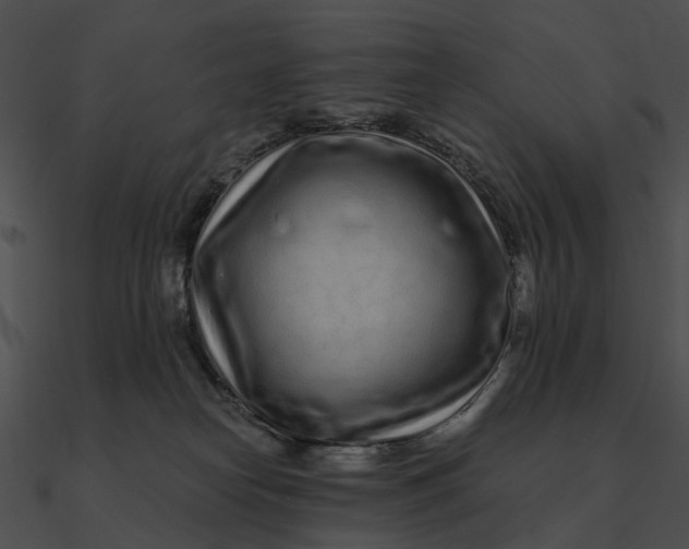 X0000090500182200708031217