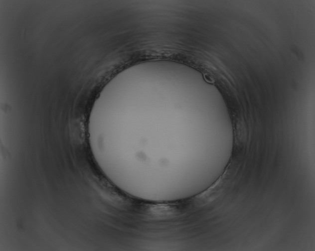 X0000090500183200708031217