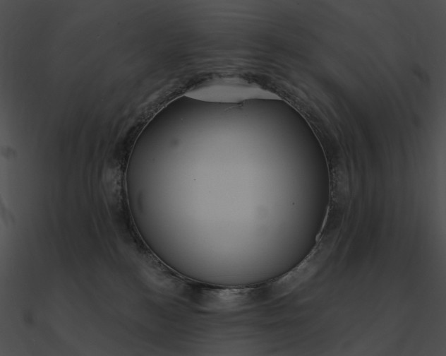 X0000090500184200708031217