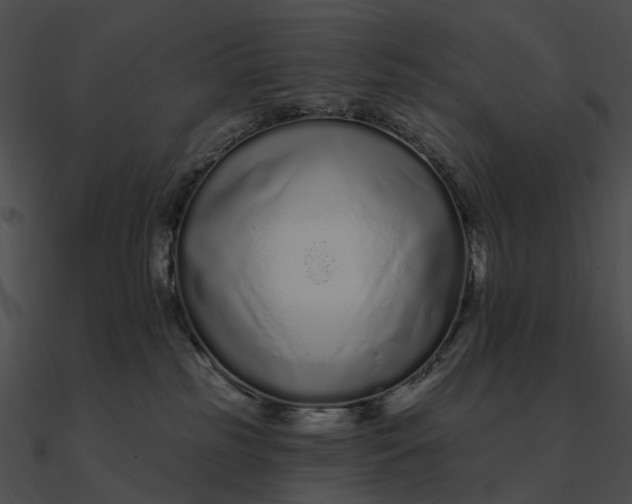 X0000090500185200708031217