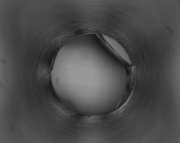 X0000090500186200708031217