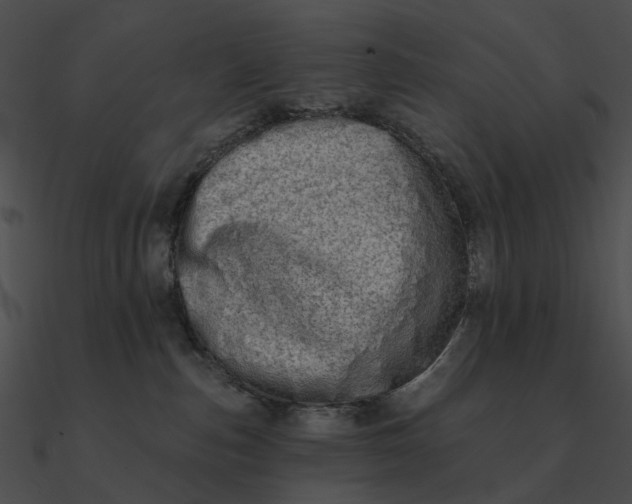 X0000090500187200708031217