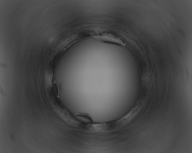 X0000090500188200708031217